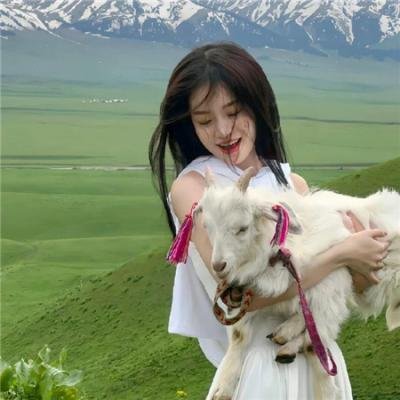 布鲁克斯，草地和可爱脸孔